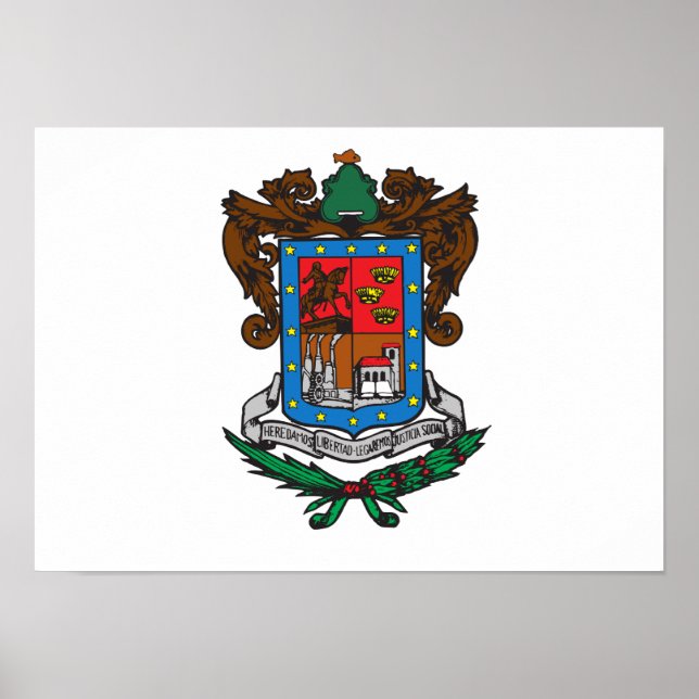 Poster Drapeau du Michoacan (Devant)