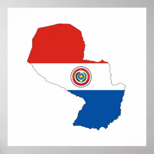 Poster drapeau du pays du paraguay forme silhouette
