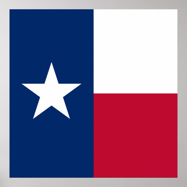 Poster Drapeau du Texas : Longhorns, l'État de l'étoile s (Devant)
