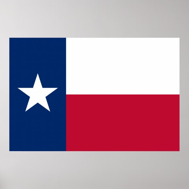 Poster Drapeau du Texas : Longhorns, l'État de l'étoile s (Devant)