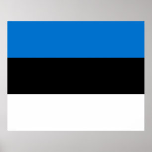 Poster Drapeau estonien