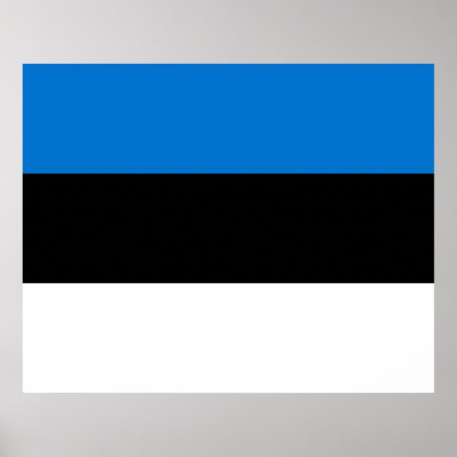 Poster Drapeau estonien (Devant)