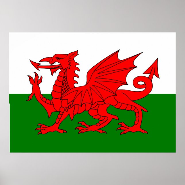 Poster Drapeau gallois dragon rouge gallois (Devant)