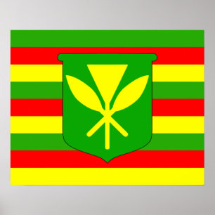 Poster Drapeau Kanaka Maoli