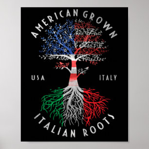 Poster Drapeau national italien de l'Amérique Cultivé rac