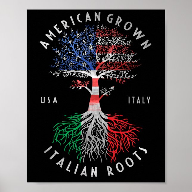 Poster Drapeau national italien de l'Amérique Cultivé rac (Devant)