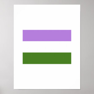 POSTER DRAPEAU OFFICIEL DE FIERTÉ DE GENDERQUEER