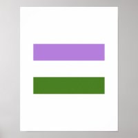 DRAPEAU OFFICIEL GENDERQUEER FIDE