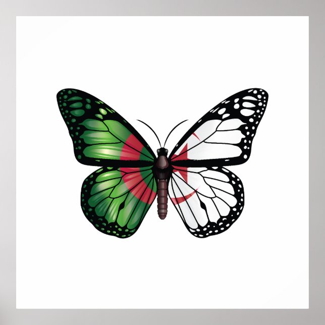 Poster Drapeau papillon monarque d'Algérie (Devant)