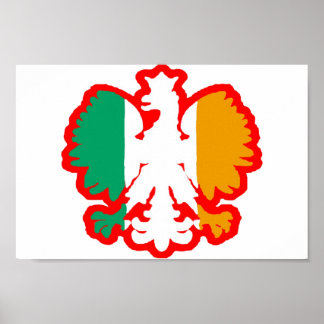 POSTER DRAPEAU POLONAIS/IRLANDAIS