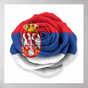 Poster Drapeau Rose serbe en blanc