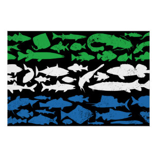 Poster Drapeau sierra-léonais fait de poisson - Conceptio