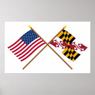 Poster Drapeaux croisés des États-Unis et du Maryland