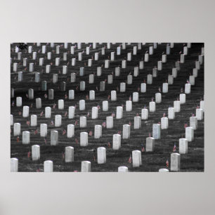 Poster Drapeaux de couleur d'Arlington B&W