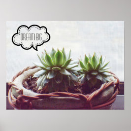 Poster Dream Big Phrase Succulent