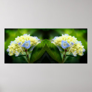 Poster Dreamy Blue Hydrangea Flower Mirror Abstrait