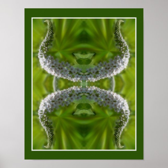 Poster Dreamy Curling blanc Fleur sauvage Abstraite (Devant)