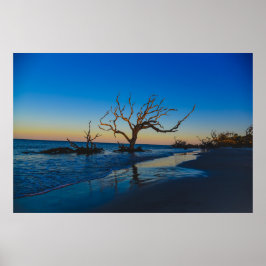 Poster Driftwood Beach Jekyll Island Géorgie USA USA