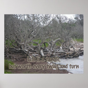 Poster Driftwood & Eel Grass Life is a Tangle