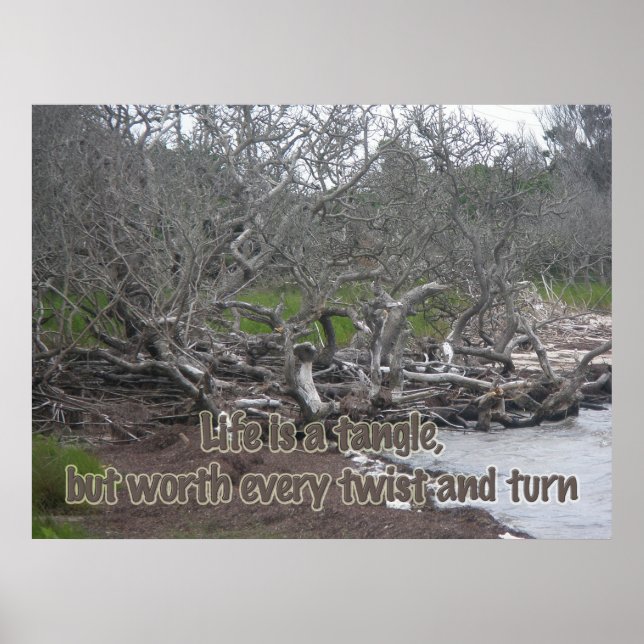 Poster Driftwood & Eel Grass Life is a Tangle (Vorne)