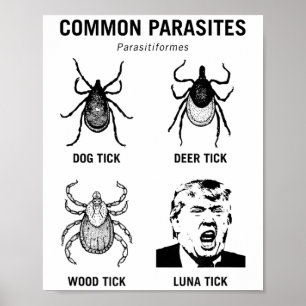 Poster Drôle anti-Trump Parasite commun Luna Tick