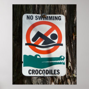Poster Drôle AUCUN panneau d'avertissement de NATATION