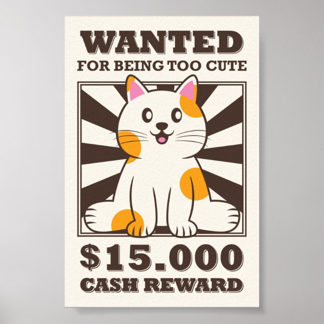 Poster Drôle Chat Recherché Pour Être Trop Mignonne (Devant)
