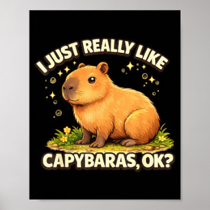 Poster Drôle d'art de capybara pour hommes femmes enfants
