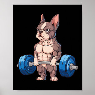 Poster Drôle de bouledogue français musculation bodybuild