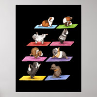 Drôle Guinée Cochon Yoga