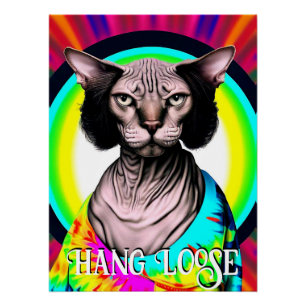 Poster Drôle Hippie Sphynx Chat