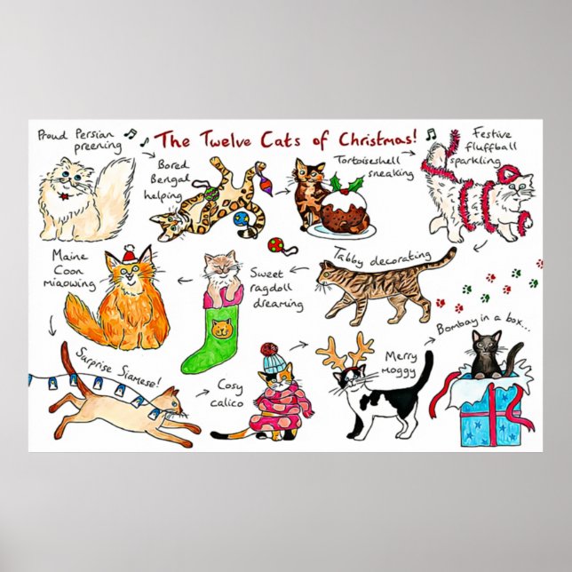 Poster Drôle Les Douze Chats De Noël (Devant)