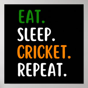 Poster Drôle Mangez Le Cricket Dormir Répéter