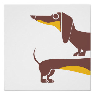 Poster Drôle mignon dachshund pour parent chien long
