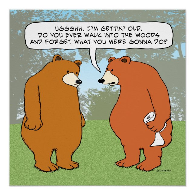 Poster Drôle Ours oublieux à Woods (Devant)