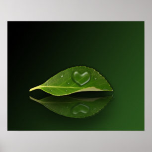 Poster Droplet en forme de coeur sur la feuille