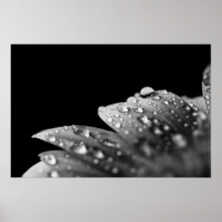 Poster Droplets (noir et blanc)