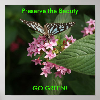 Poster DSC00407, Préserver la Beauté, DEVENEZ ÉCOLO !