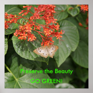 Poster DSC00433, Préserver la Beauté, DEVENEZ ÉCOLO !