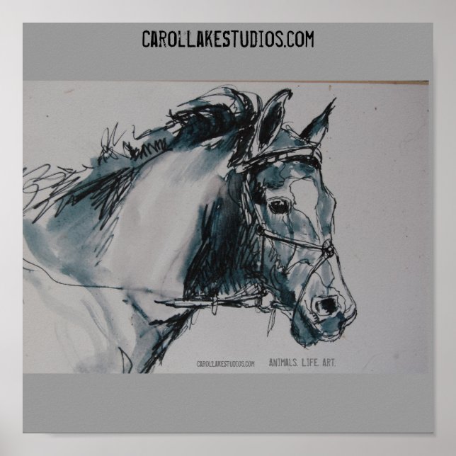 Poster DSC_0462, Animaux. La vie. Art. , CarolLakeStudio. (Devant)