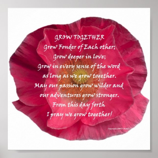 POSTER DSCN0136 (Devant)