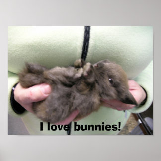 Poster DSCN0356, j'adore les lapins !
