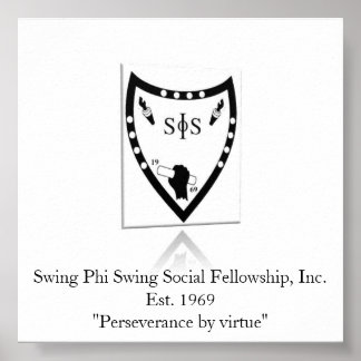 Poster du bouclier de voilure ombre