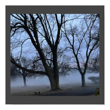 Poster du brouillard et des arbres