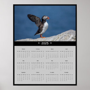 Poster du calendrier 2025 Atlantic Puffin in Maine