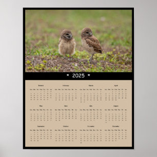 Poster du calendrier mural de 2025 de la Chouette-