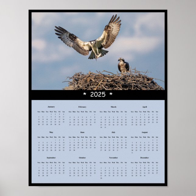 Poster du calendrier Osprey Wall 2025 (Devant)