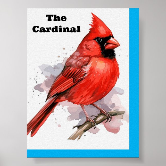 Poster du cardinal des oiseaux (Devant)