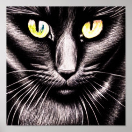 Poster du Carré de chat noir