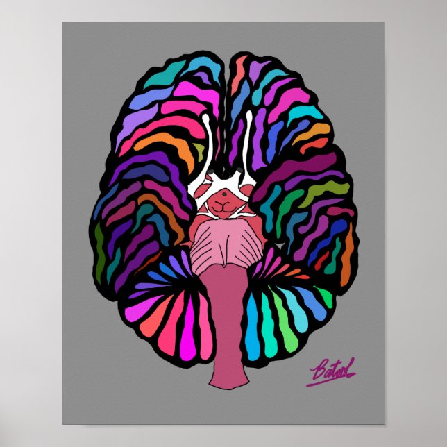 Poster du cerveau de couleur ligne ondulée (Devant)